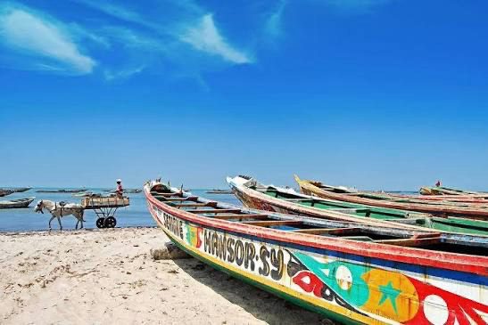 Colorful traditional pirogues lined up on sandy beach with horse cart in Senegal